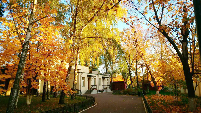 威廉希尔中文网站平台