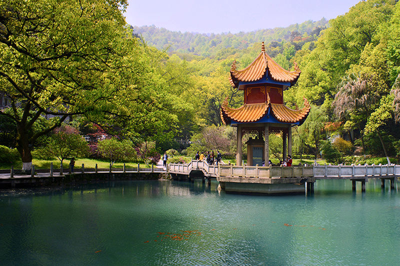 威廉希尔中文网站平台